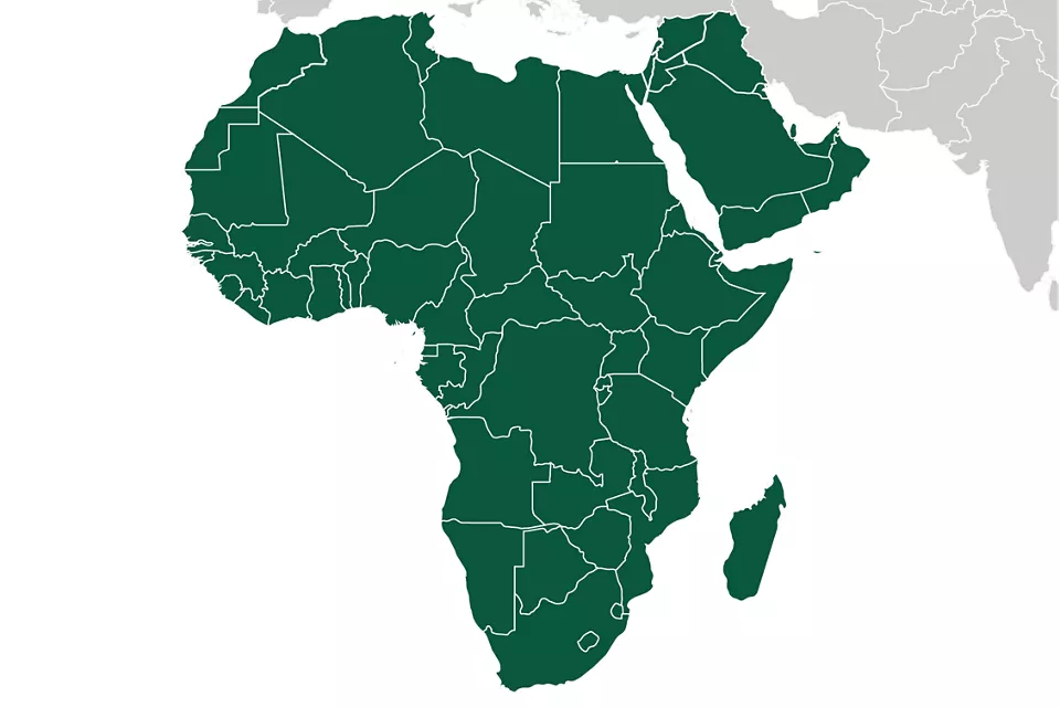 Medio Oriente e Africa